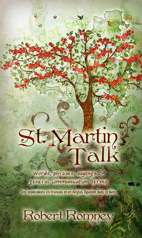 StMartinTalk